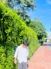 Hulagway sa profile ni Dummy