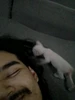 عکس پروفایل Andrew