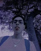 Profile picture of Pedro