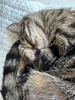 Profile picture of Justine