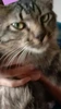Profile picture of Eryna