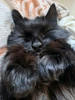Profile picture of Līga