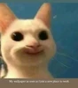 Gambar profil Seher