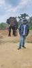 Profile picture of Sai Sandesh MP