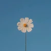 Profile picture of Jesika