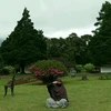 Alifiyah的头像