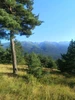 Profile picture of Х