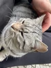 Ali profil fotoğrafı