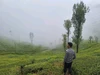 Hulagway sa profile ni Aravind Sasikumar