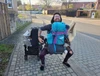 Profilbild von Dorian