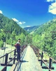 Poto profil Shahid