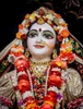 Profile picture of Nithya
