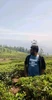 Profile picture of Vimal