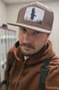 Profile picture of David