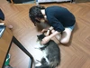 Navis 的個人照片
