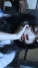 Foto profil piaa