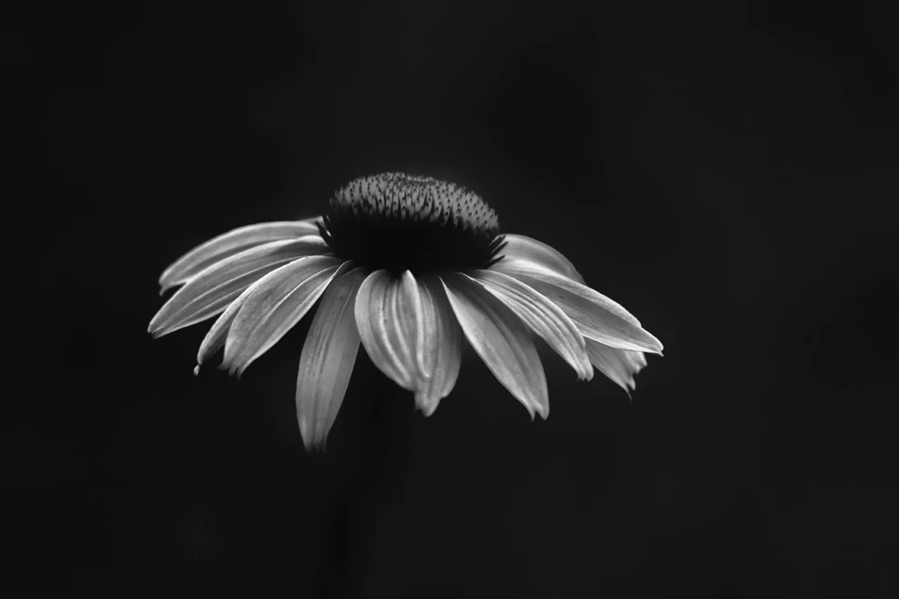 Image uploaded by Skylar King