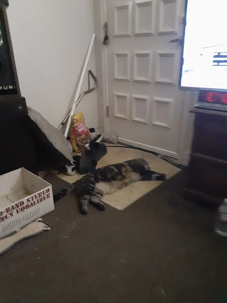 Image uploaded by Alan Heinson