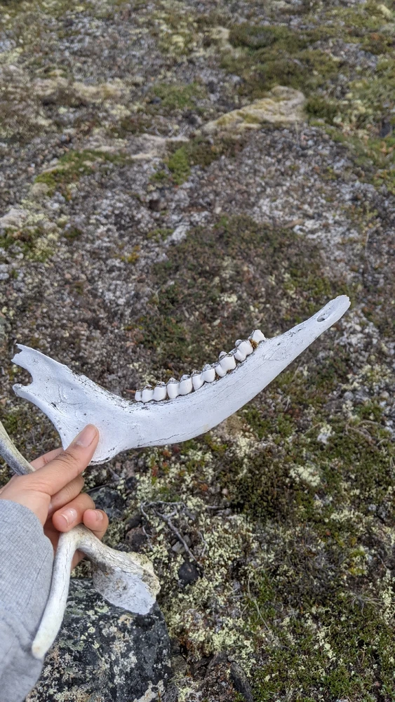 Image uploaded by 🔮Dani🫀