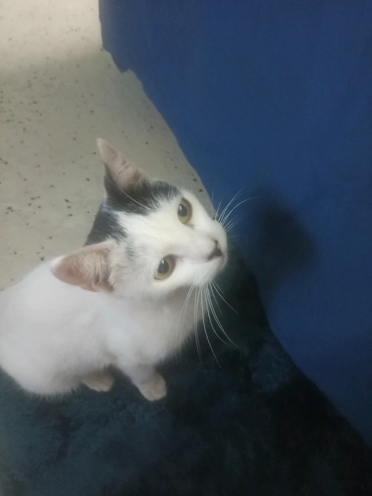 Image uploaded by Oscar