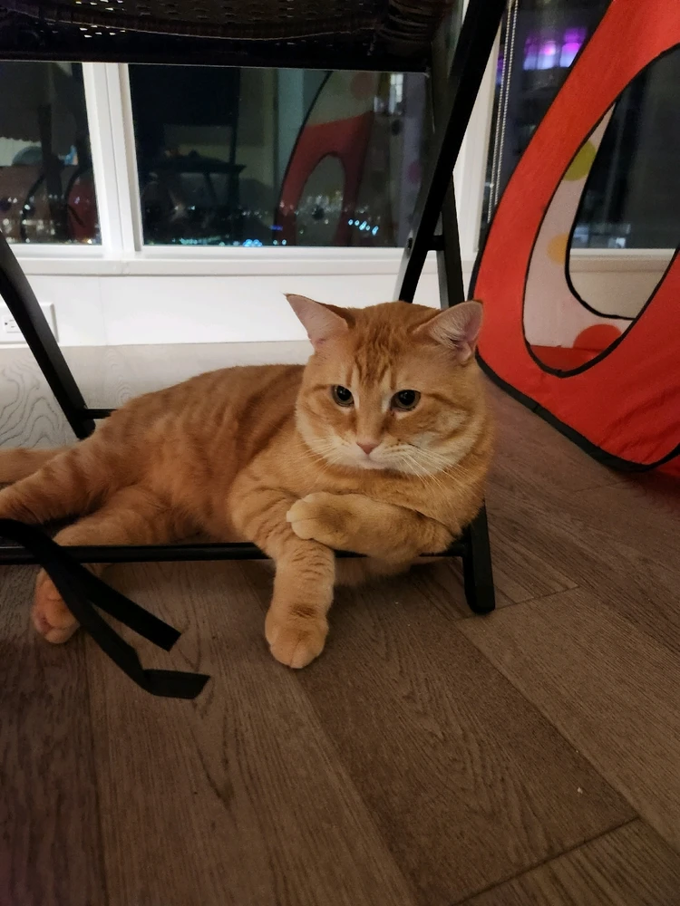 Image uploaded by Vikram