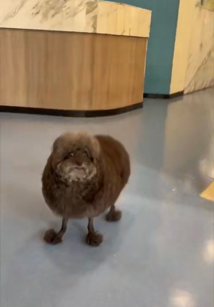 Image uploaded by Manny