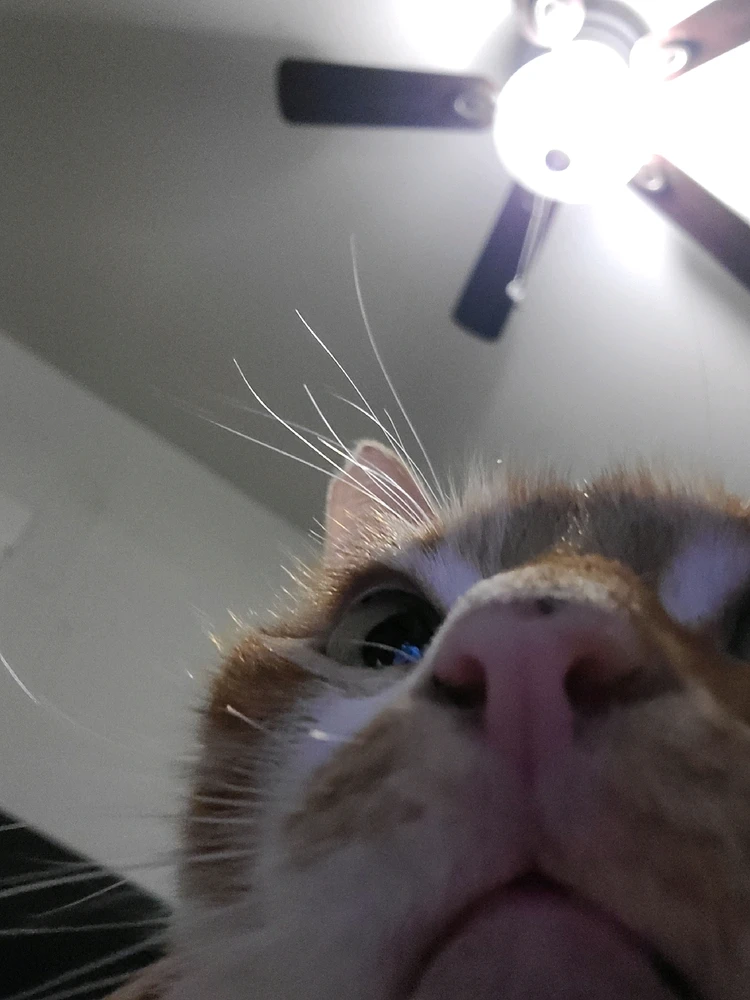 Image uploaded by Jonathan