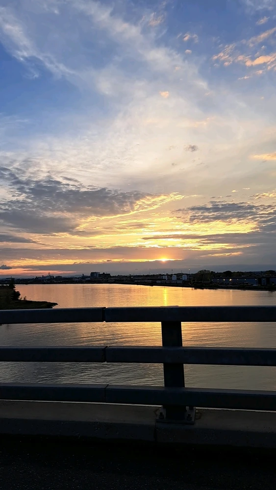 Image uploaded by Brandon