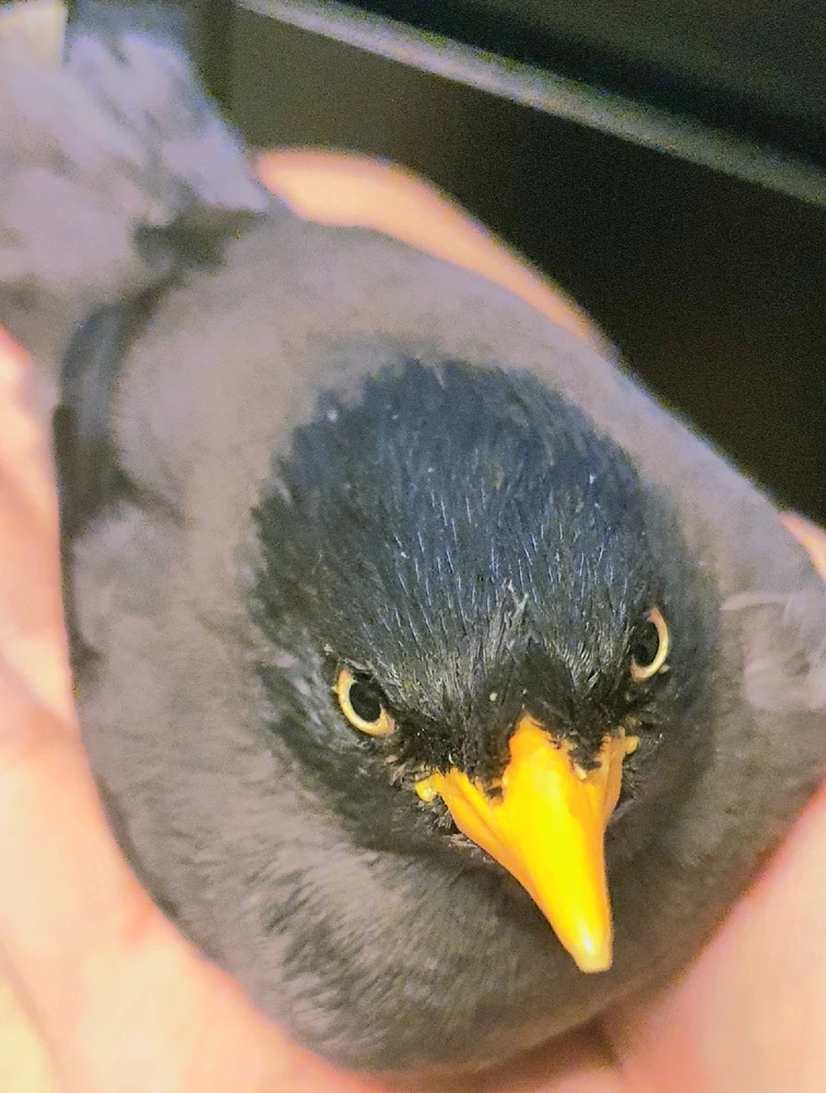 Image uploaded by Christopher