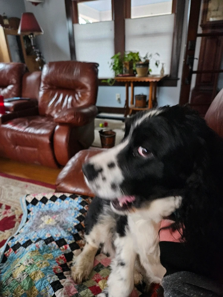 Image uploaded by Frank Toth