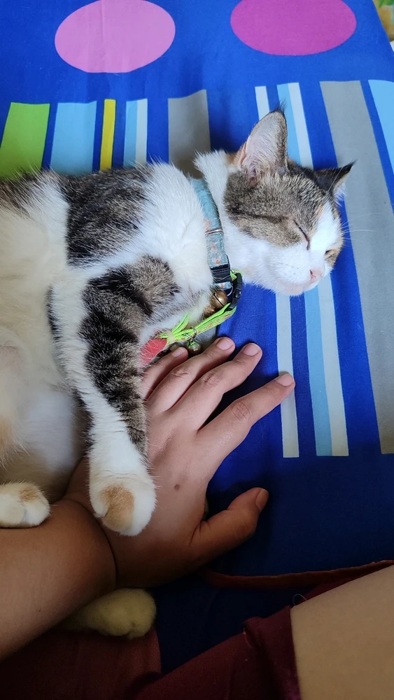 Image uploaded by Agatha