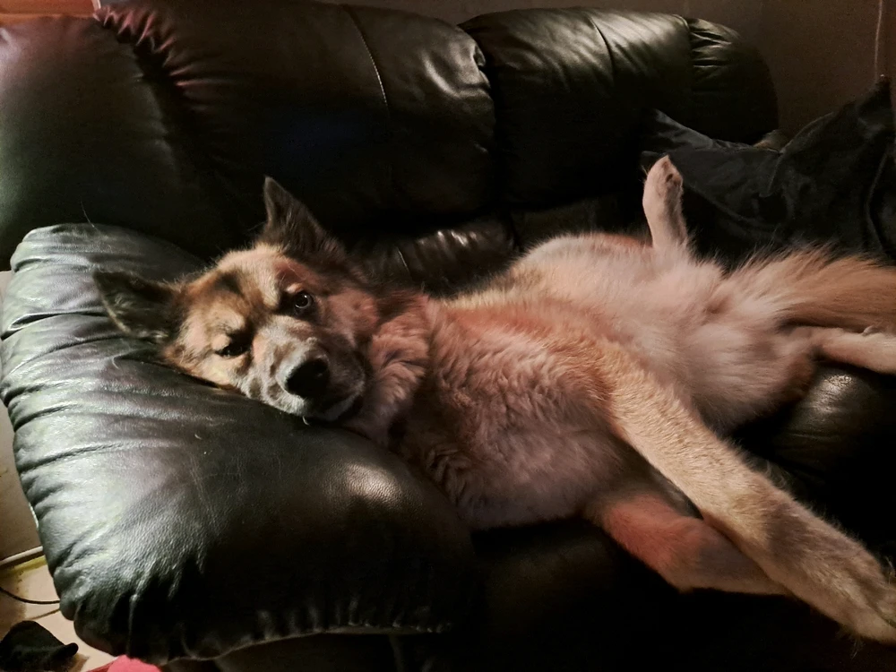 Image uploaded by Lodin