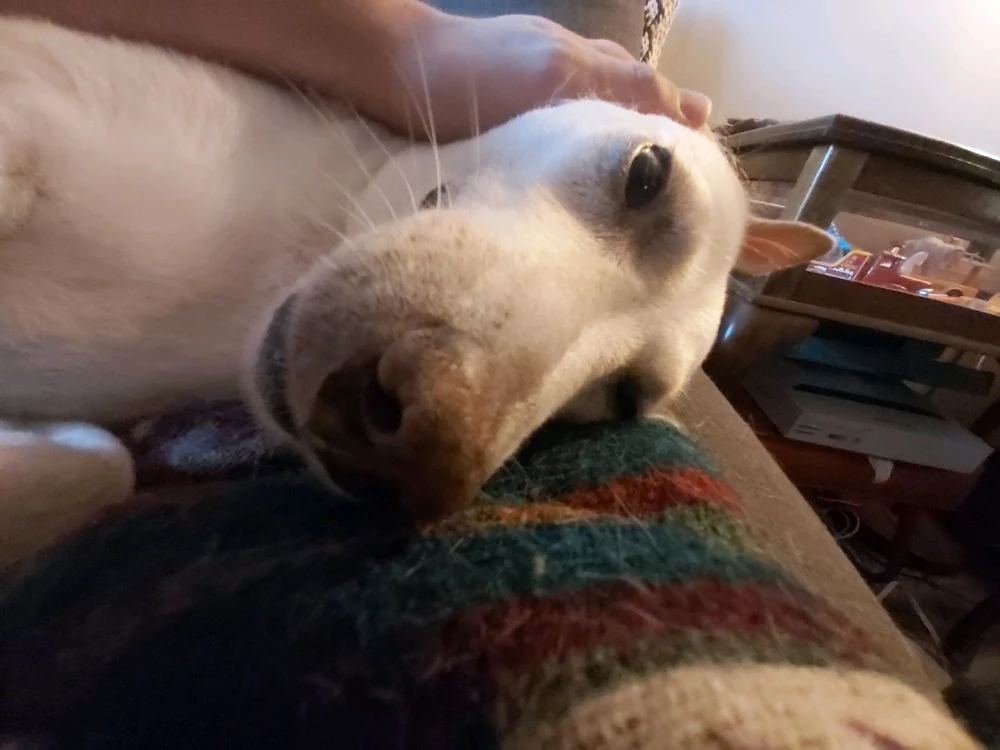 Image uploaded by Beck