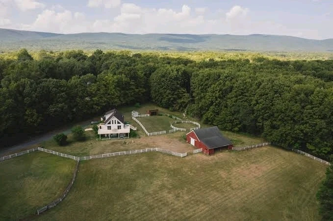 Image uploaded by Kanade