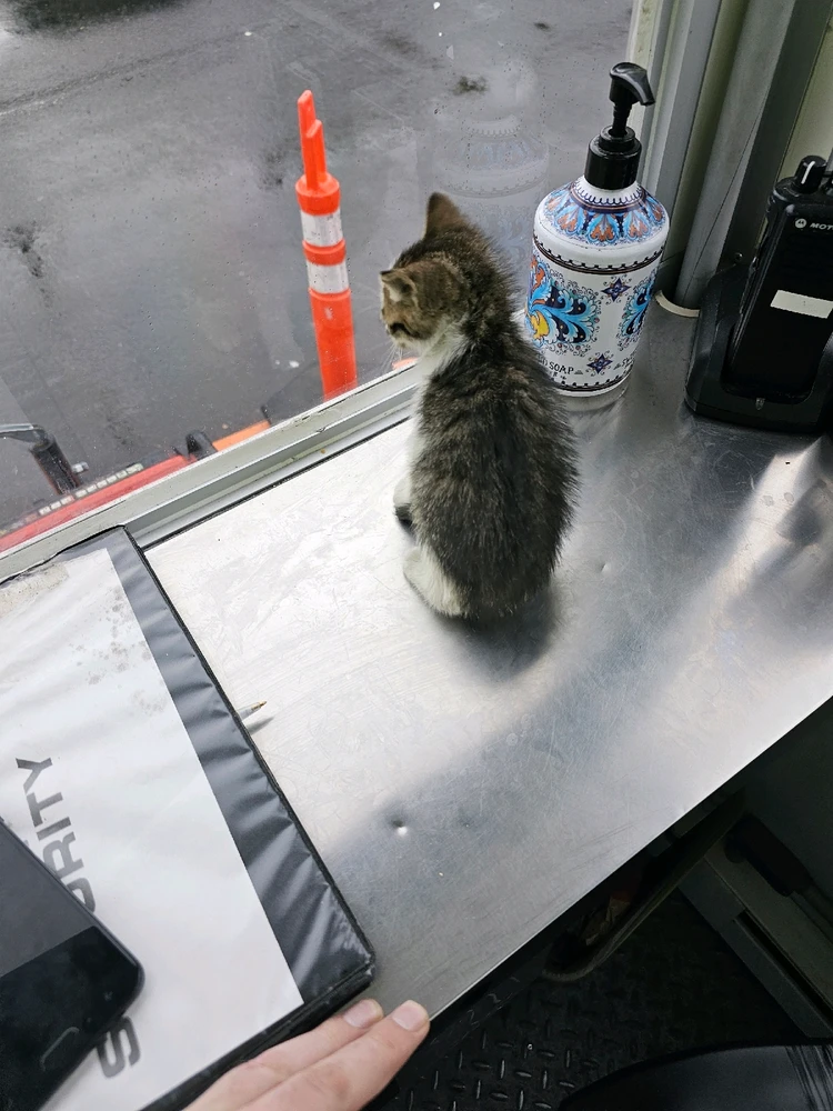 Image uploaded by Kristian