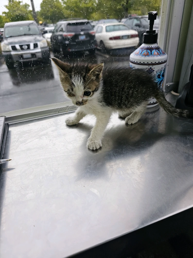 Image uploaded by Kristian