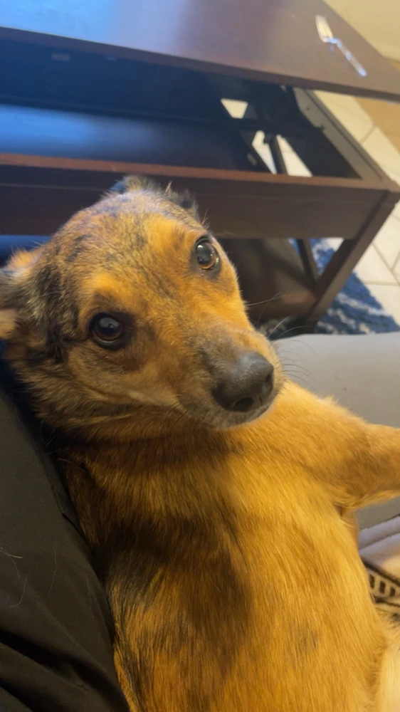 Image uploaded by Emily