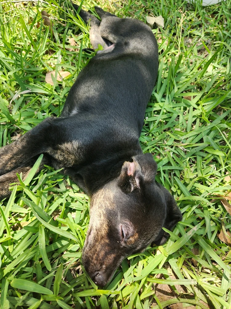 Image uploaded by Ross