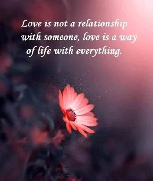 Image uploaded by Nat RB