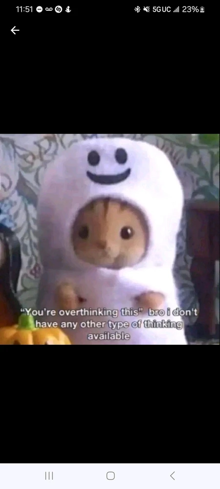 Image uploaded by Jasmin