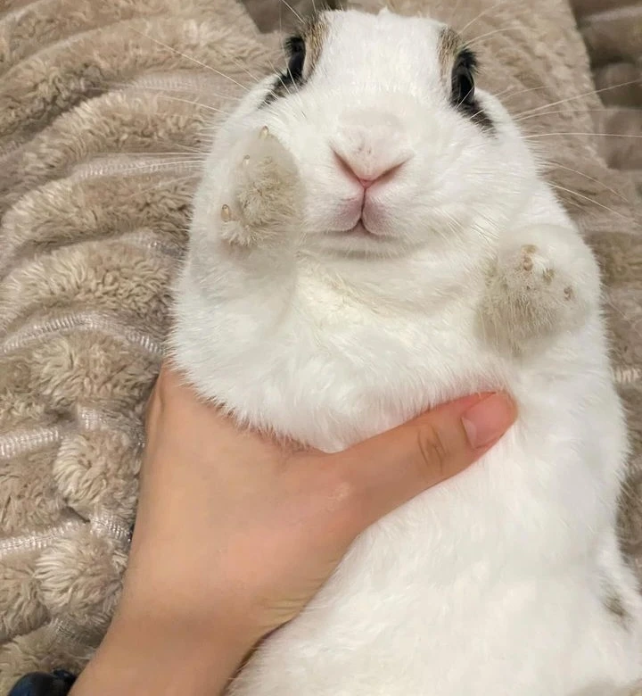 Image uploaded by Taylor