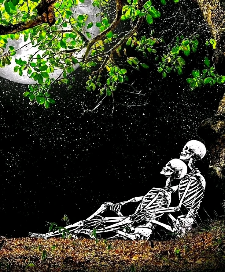 Image uploaded by 𝕔𝕙𝕒𝕣𝕝𝕚𝕖