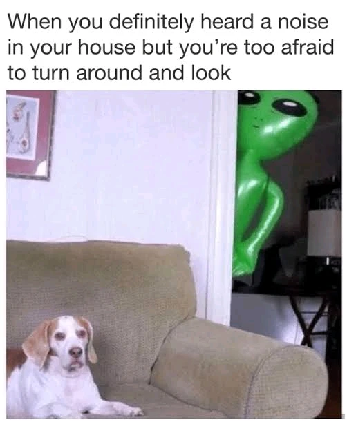 Image uploaded by Wi