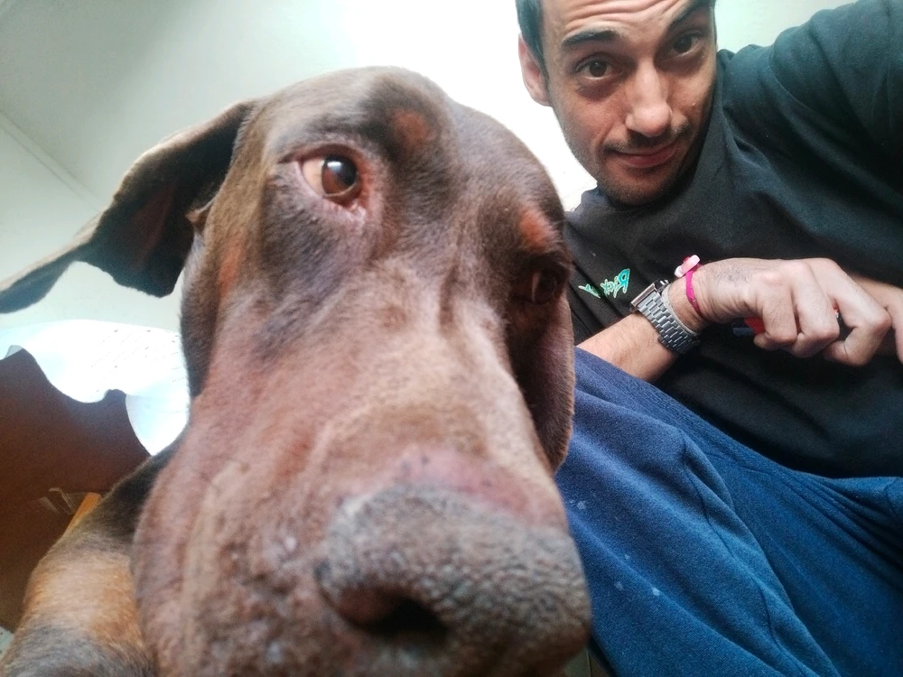 Imagem enviada por Nelson