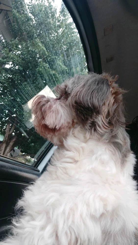 Imagem enviada por Maiara