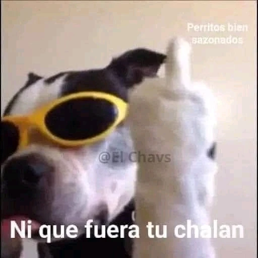 Imagen subida por Diego