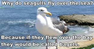 Image uploaded by CJ