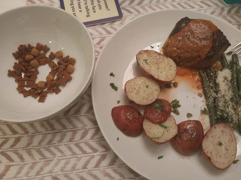 Was good. The dog food in the bowl is for the begging resident schnauzer