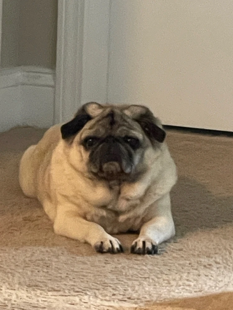 Image uploaded by Jennifer