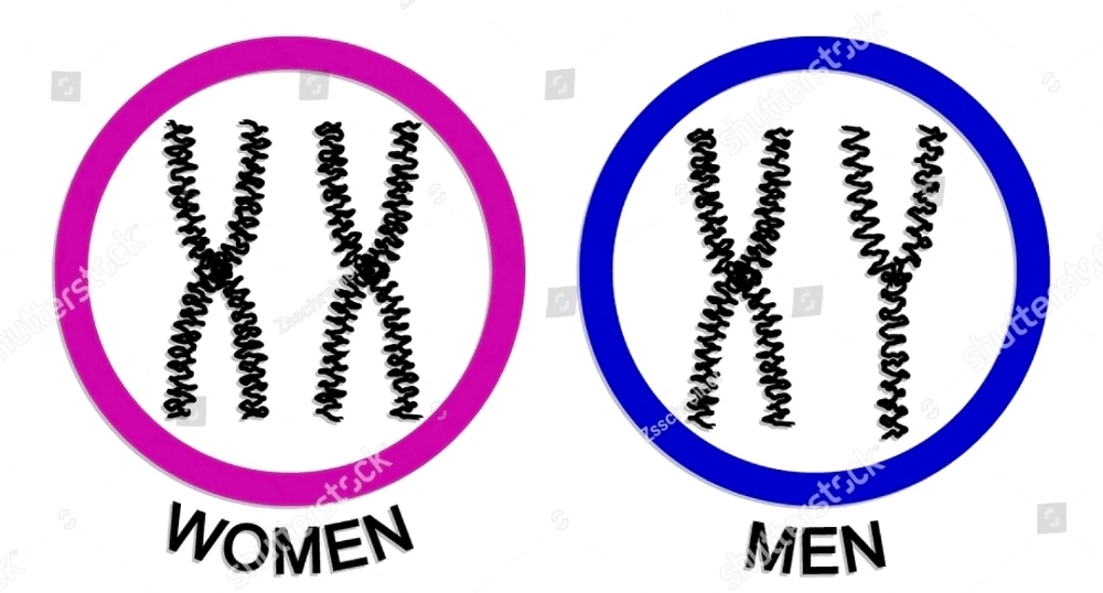 Image uploaded by Michelle